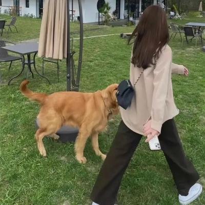 致命访客