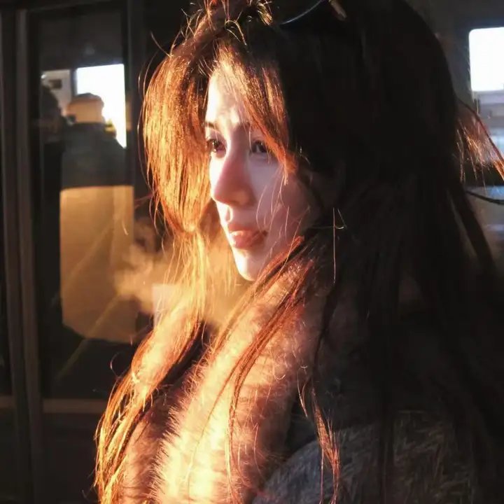 麻辣贱谍